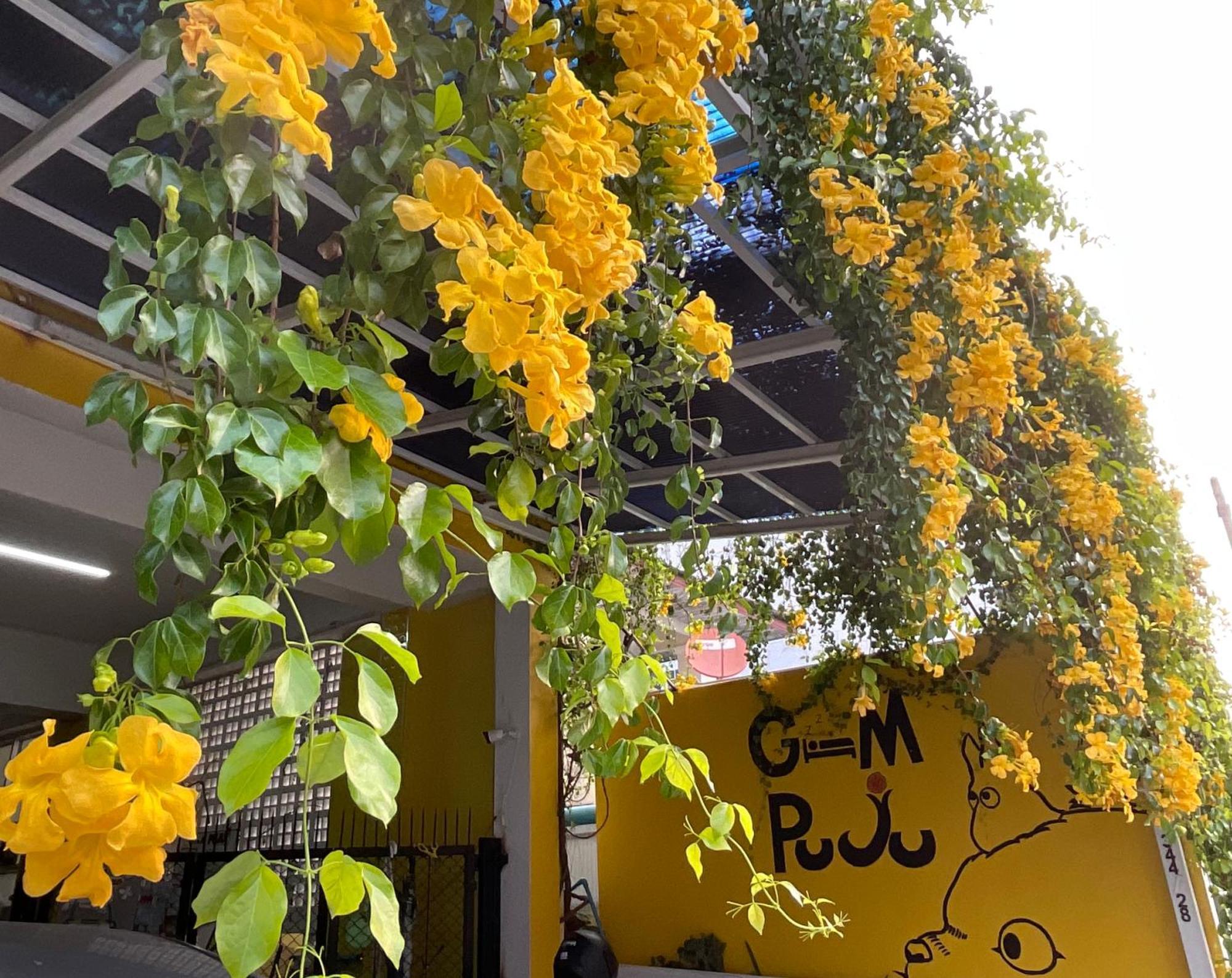 Gumpuju คำปู้จู้ Hotel Chiang Mai Exterior photo
